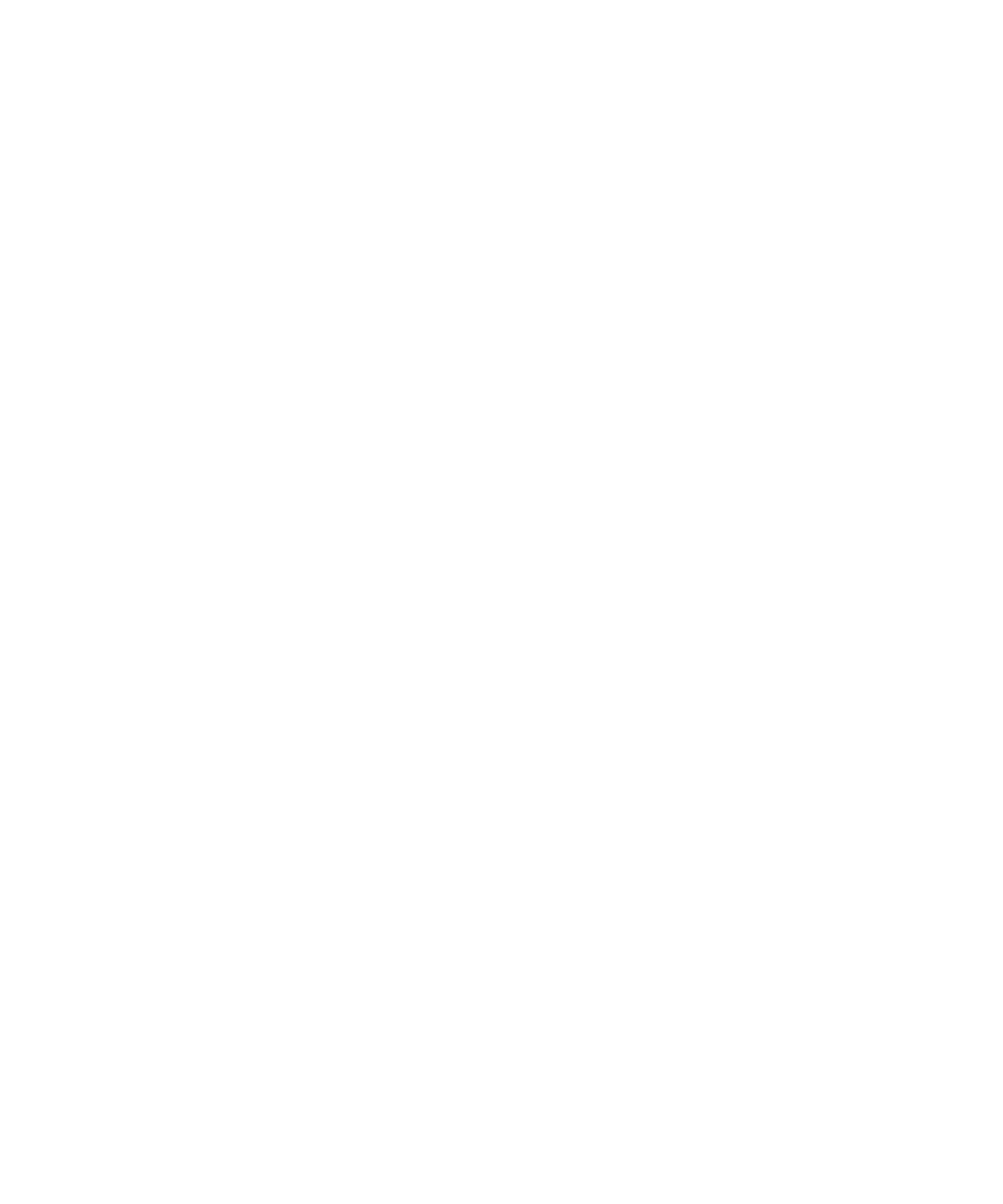 Cindy Baumann